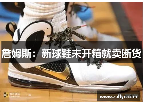 詹姆斯：新球鞋未开箱就卖断货